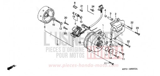 LEFT CRANKCASE COVER/ GENERATOR XL125SC de 1982